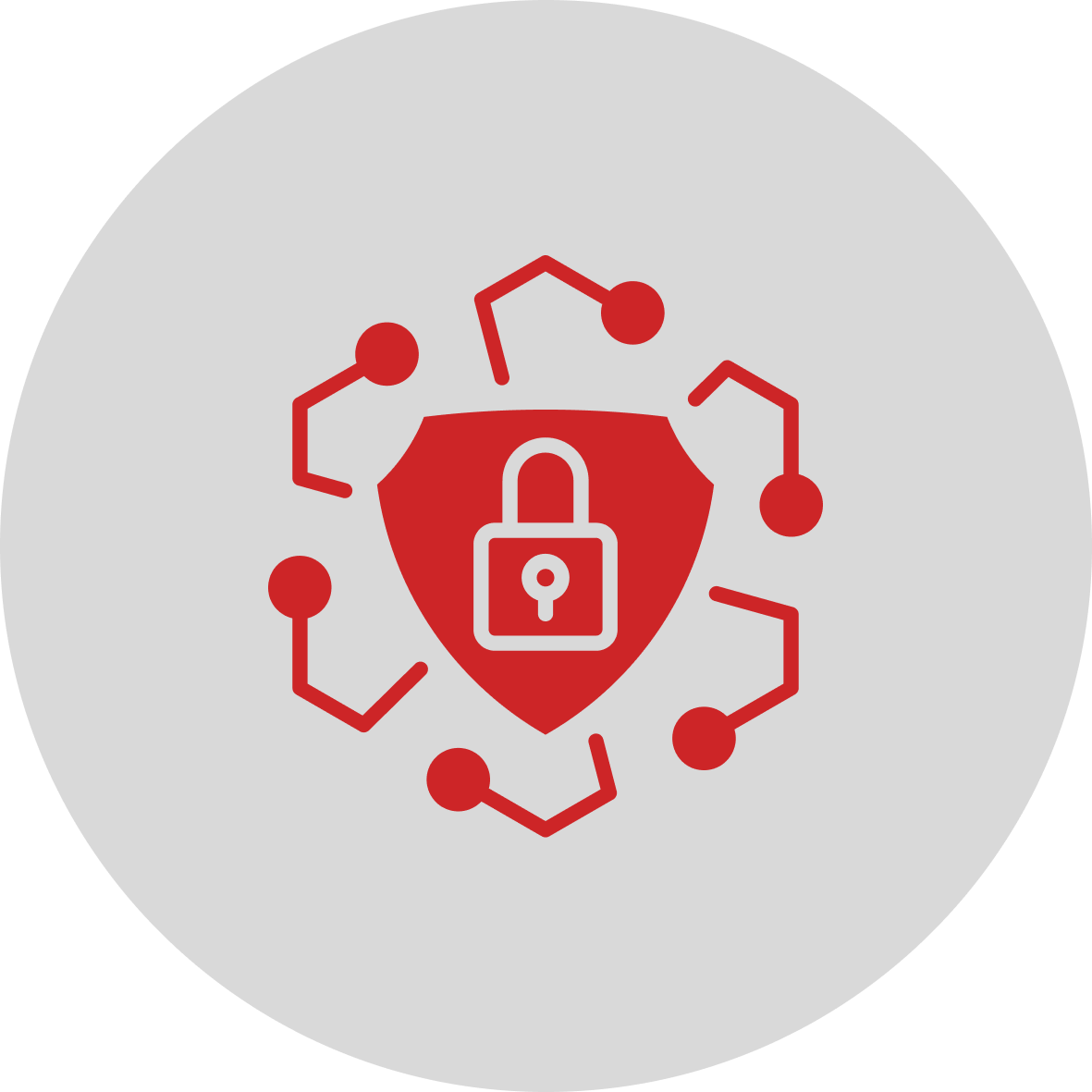 Government & Critical Infrastructure Security